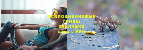 ECSTASY Мегион