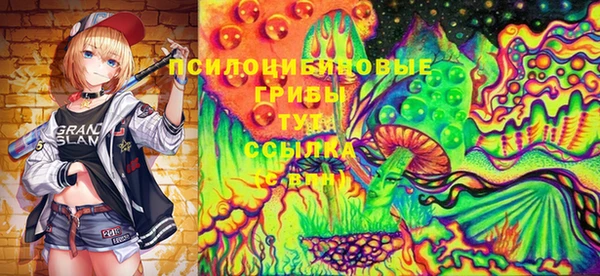 мдпв Медвежьегорск