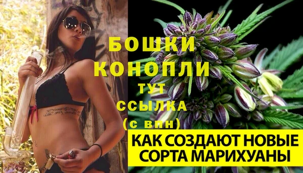 ECSTASY Мегион
