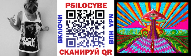 Псилоцибиновые грибы Cubensis  где купить   Нестеров 